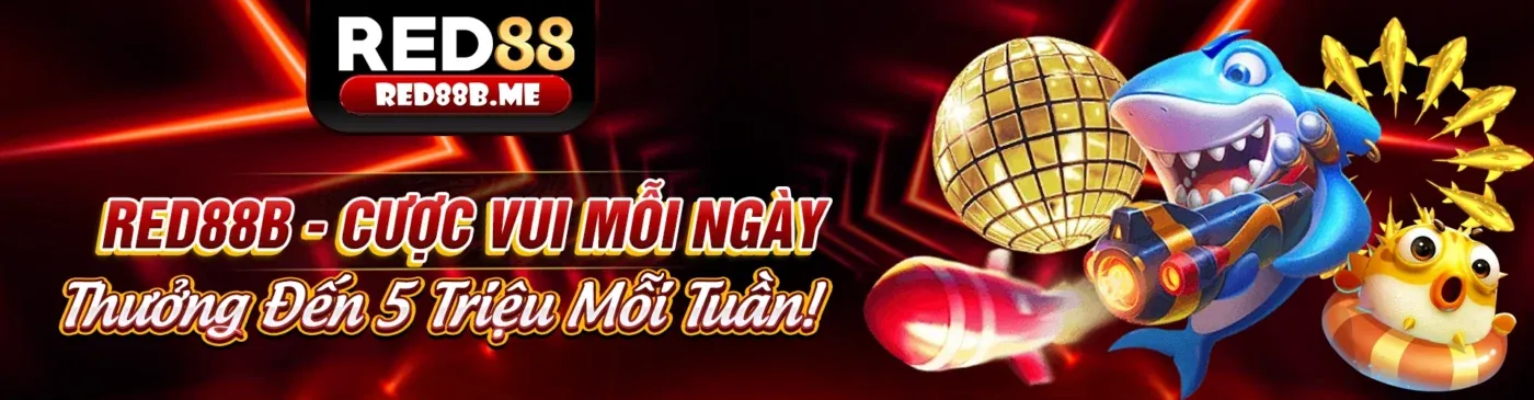 Người dùng quản lý cài đặt cookie trên trình duyệt
