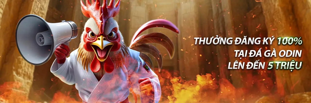 Hình ảnh nền cá cược thể thao sôi động tại Win2026