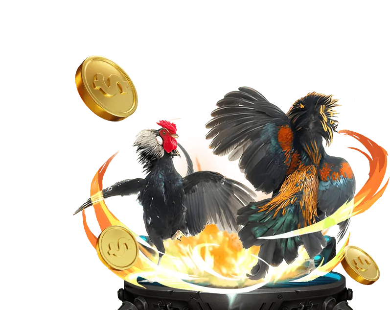 Tổng quan về đá gà trực tuyến và giao diện xì dách online